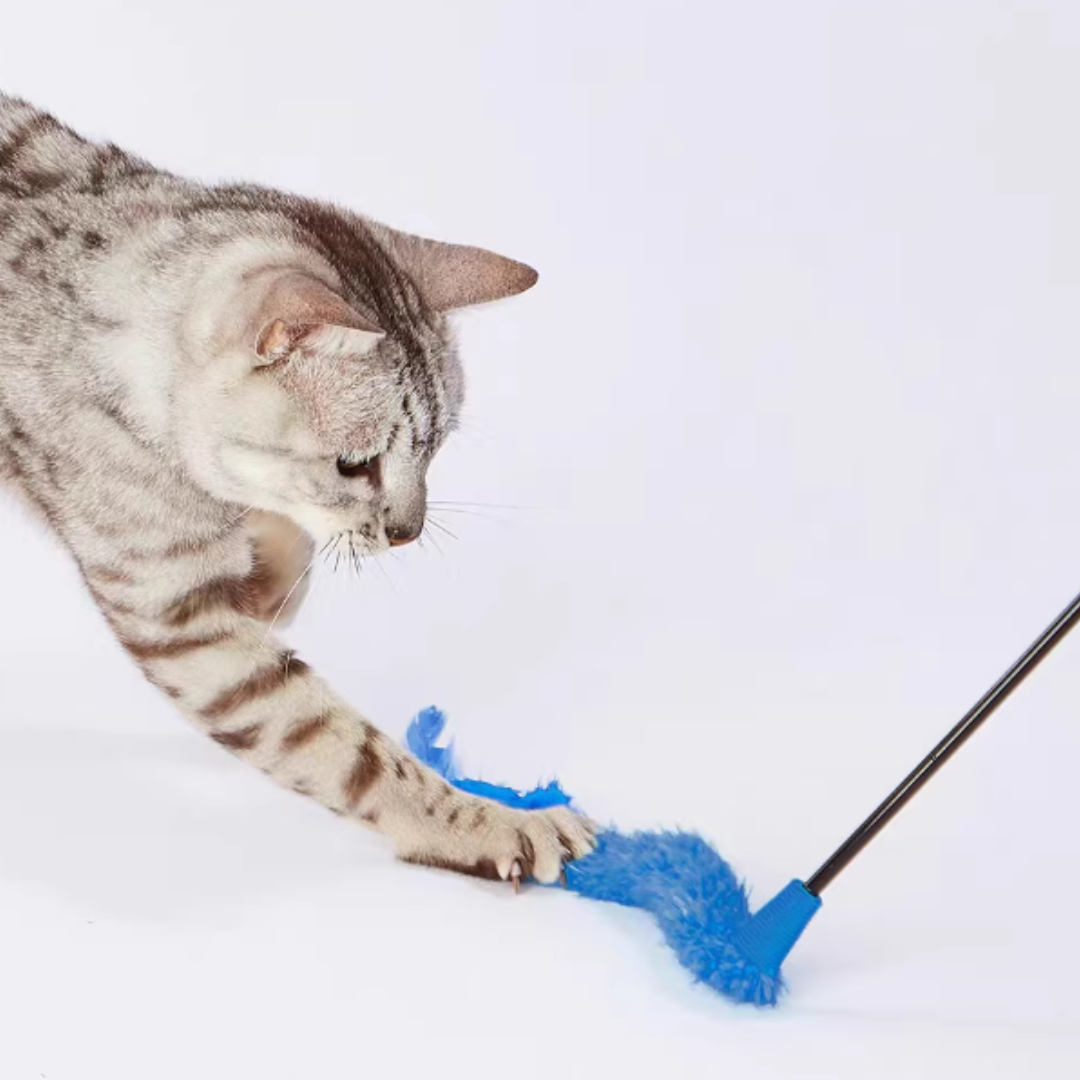 日本Petio 毛毛蟲逗貓棒