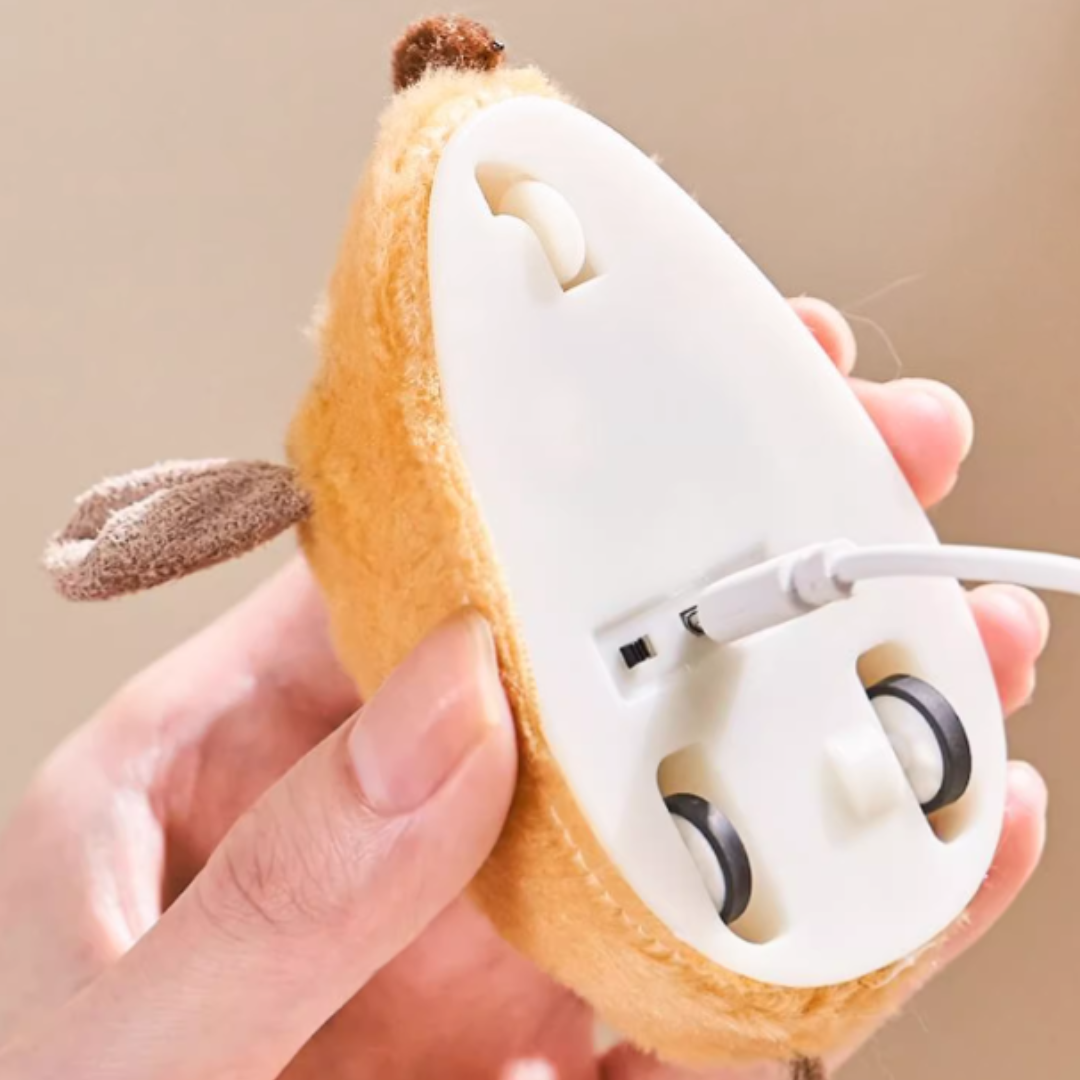 貓咪電動小老鼠玩具