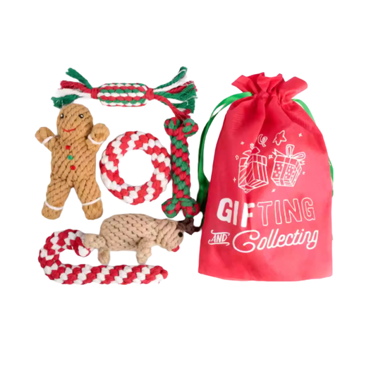 聖誕節玩具套裝