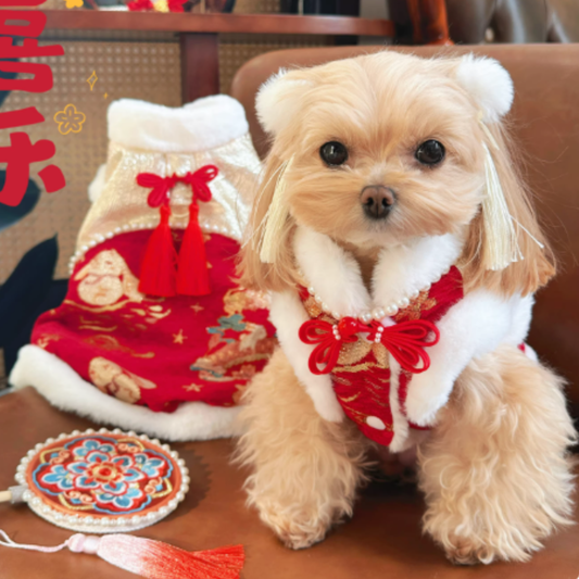 賀年衣服 - 貴氣毛絨背心