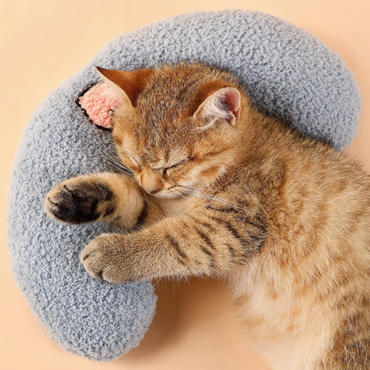 貓咪 陪睡專用 U型小枕頭