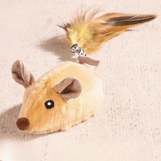 貓咪電動小老鼠玩具