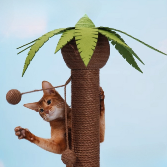 可愛椰樹造型貓抓樹