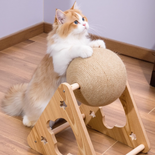 摩天輪貓抓球玩具