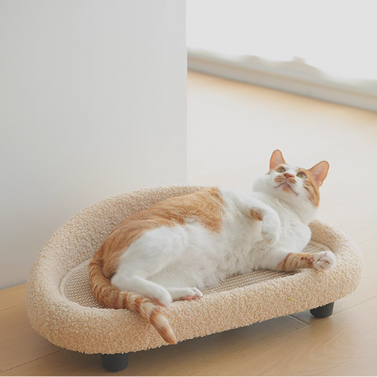 耐抓劍麻墊梳化小床