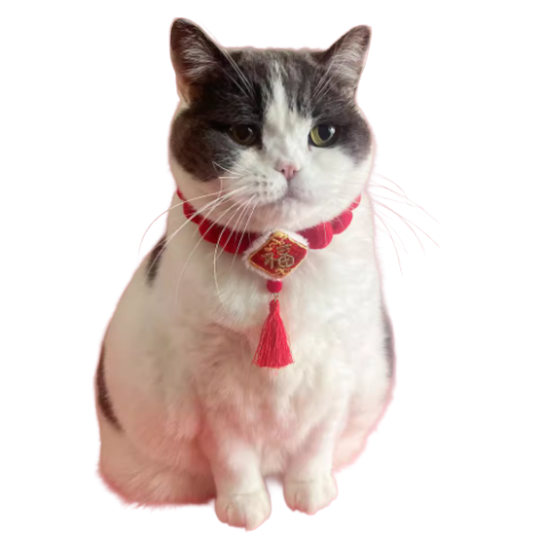 新年造型必備 喜慶頸圈 - 福字流蘇