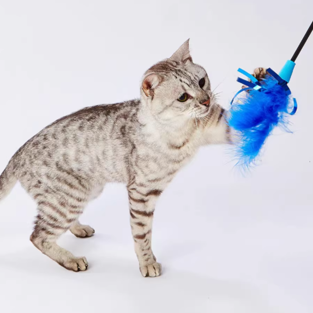 日本Petio 羽毛逗貓棒