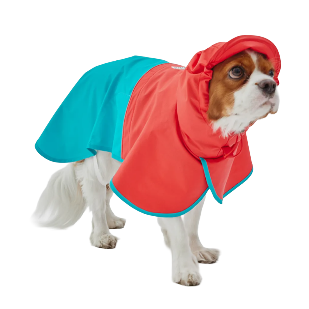 韓國 iCandor -拼色雨褸