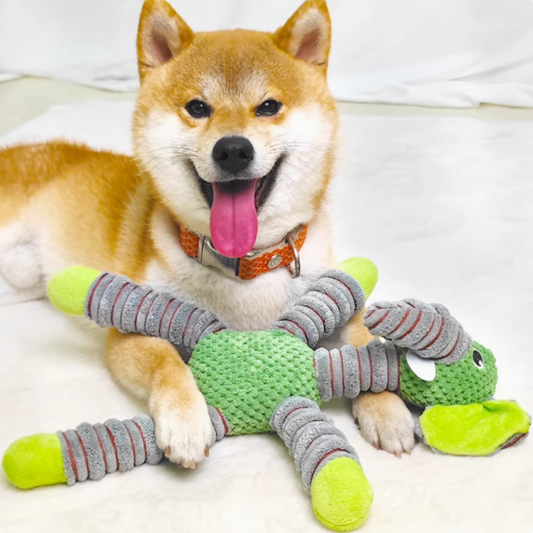 狗狗可愛磨牙玩具 - 綠色大象