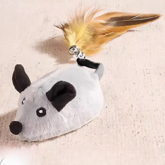 貓咪電動小老鼠玩具