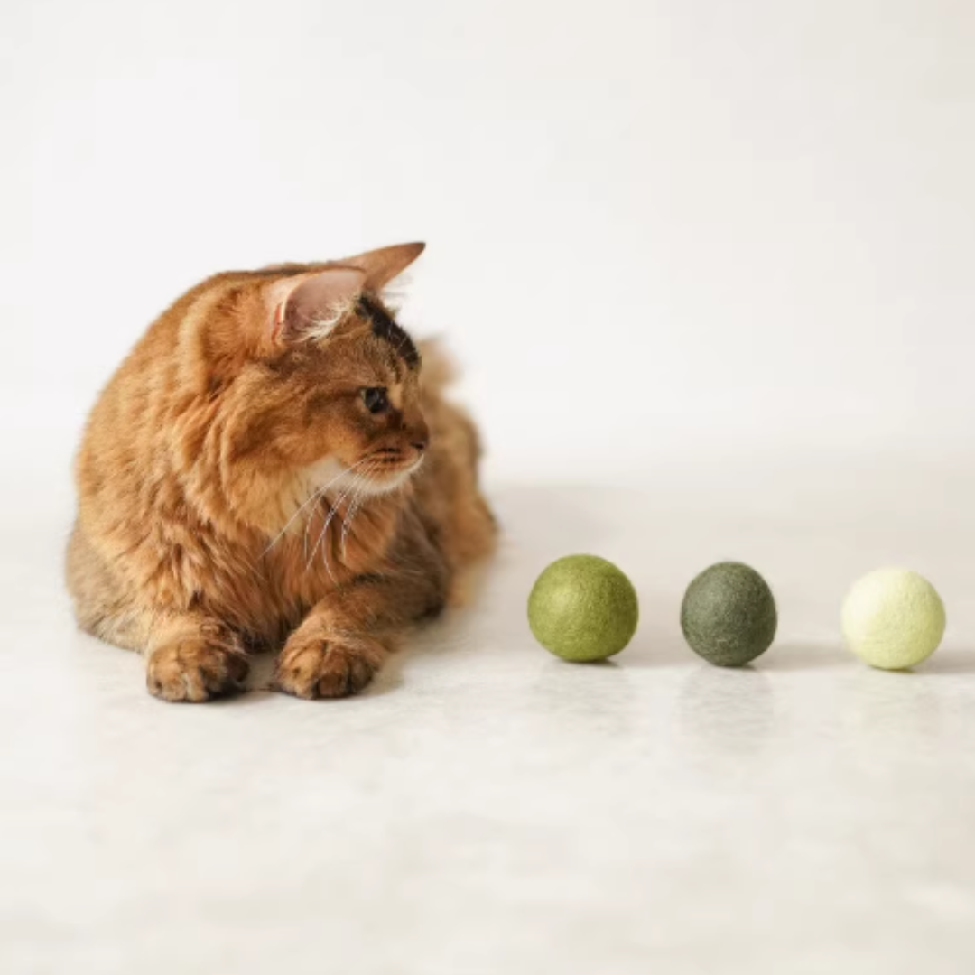 Gari Gari Mofu 100% 羊毛球 (三個裝)