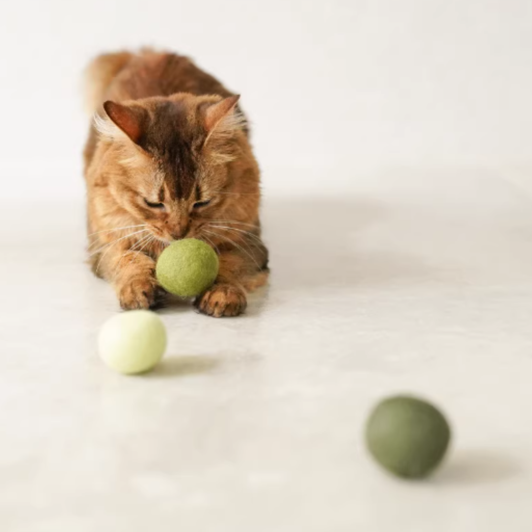 Gari Gari Mofu 100% 羊毛球 (三個裝)