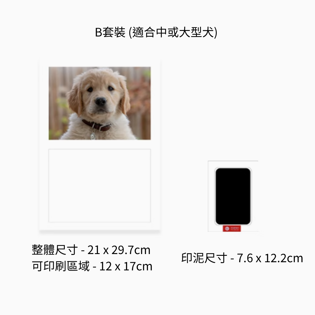 訂制寵物爪印連相架套裝