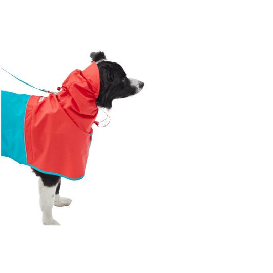 韓國 iCandor -拼色雨褸