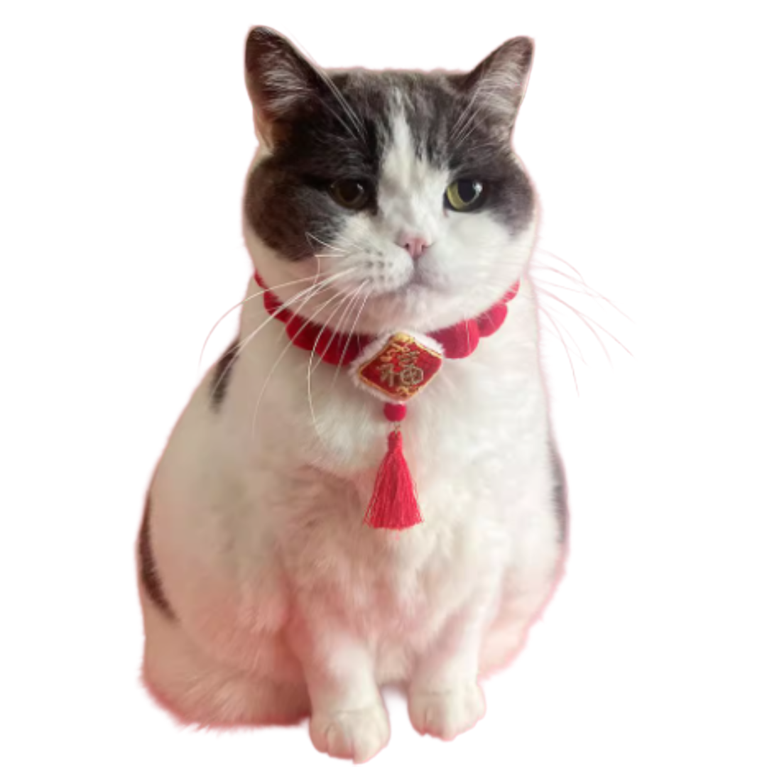 新年造型必備 喜慶頸圈 - 福字流蘇